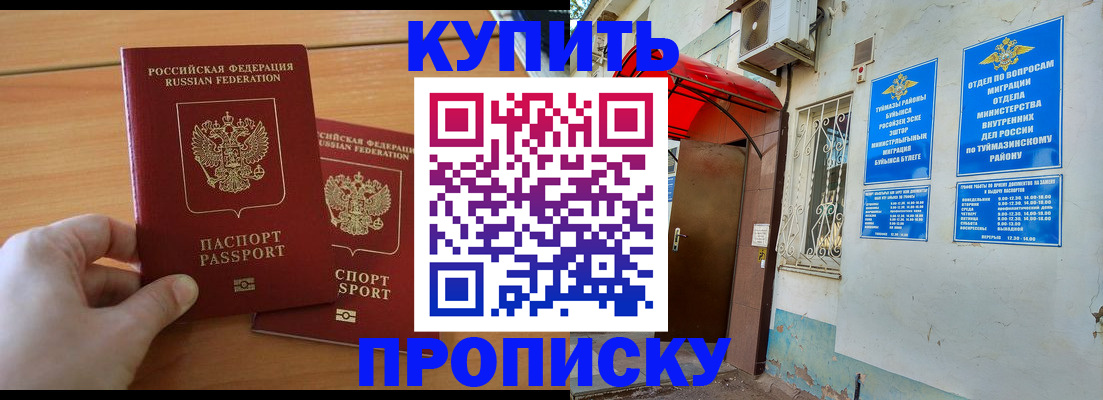 прописка штамп в Курской области