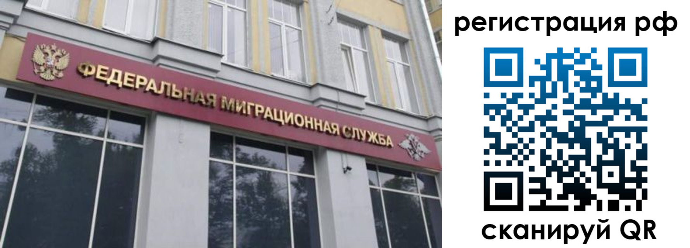 временная регистрация 2025 в Курской области
